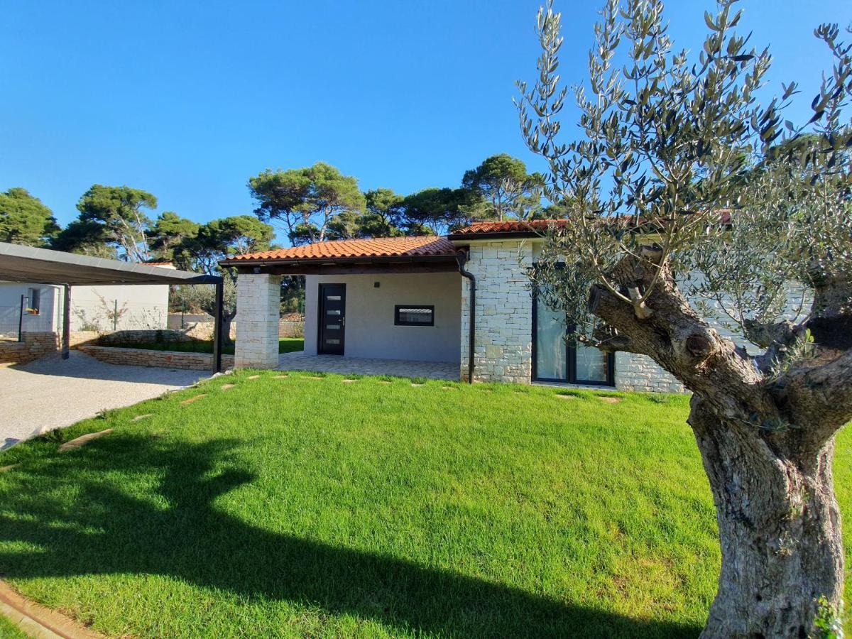فيلا Casa Pinea Fazana فودنيان المظهر الخارجي الصورة